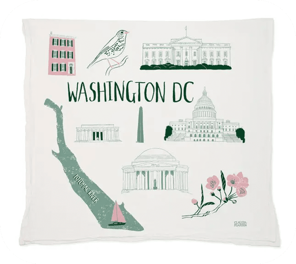 Illustration of iconic Washington DC landmarks on a cloth.